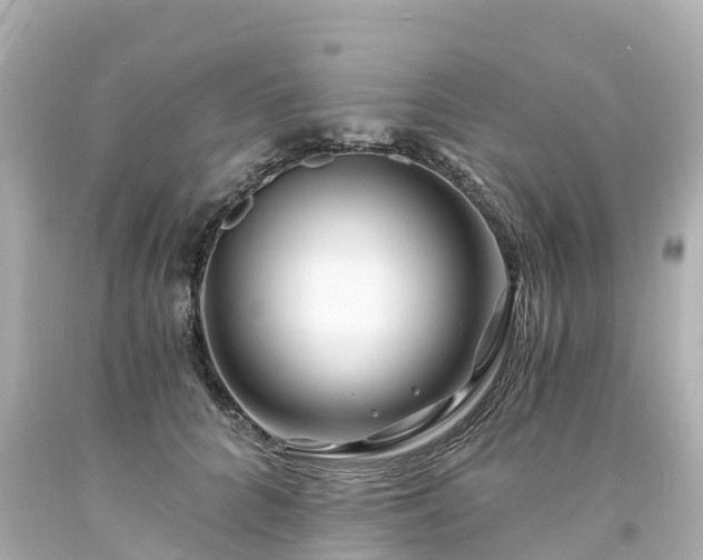 X0000094200704200711021052