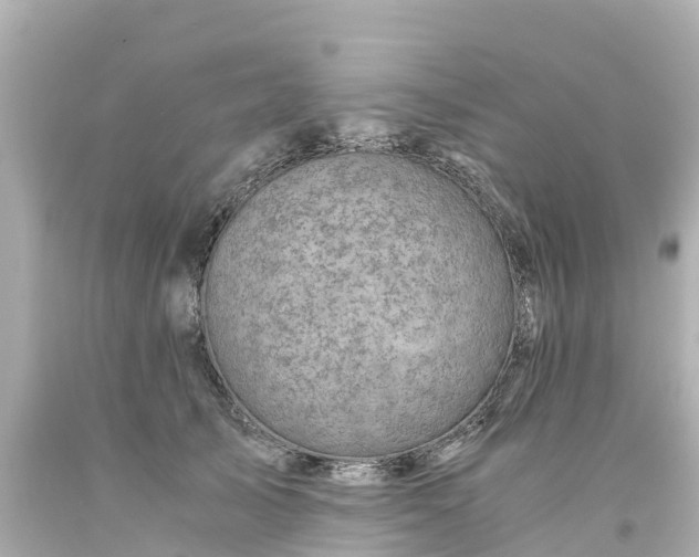 X0000094200705200711021052