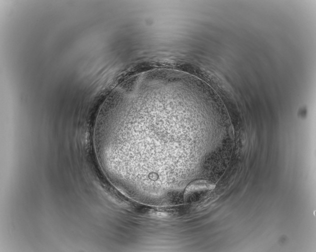 X0000094200706200711021052