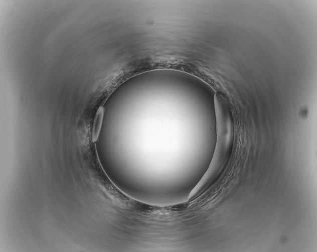 X0000094200708200711021052