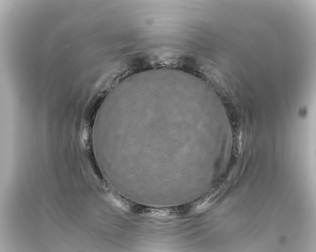 X0000094200709200711021052