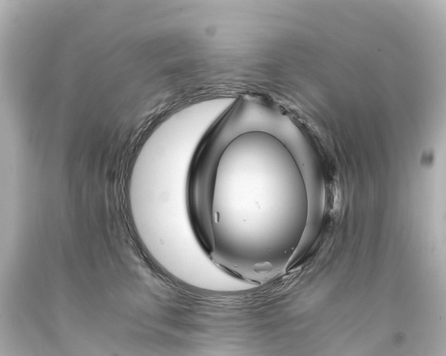 X0000094200711200711021052