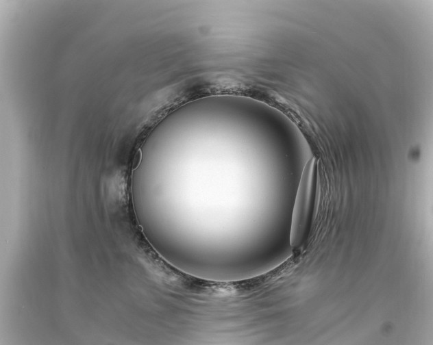X0000094200715200711021052