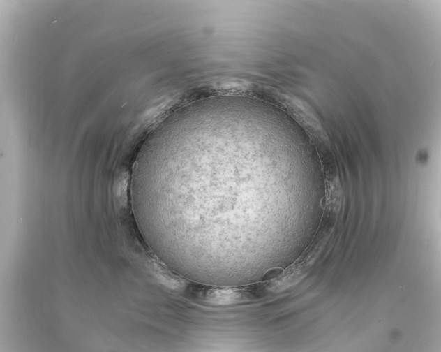 X0000094200717200711021052