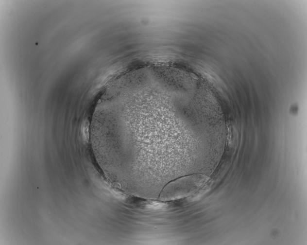 X0000094200718200711021051