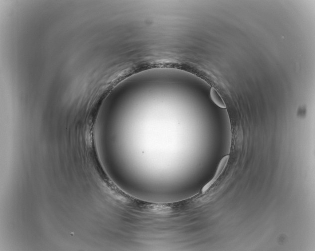 X0000094200719200711021051