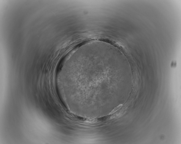 X0000094200720200711021051