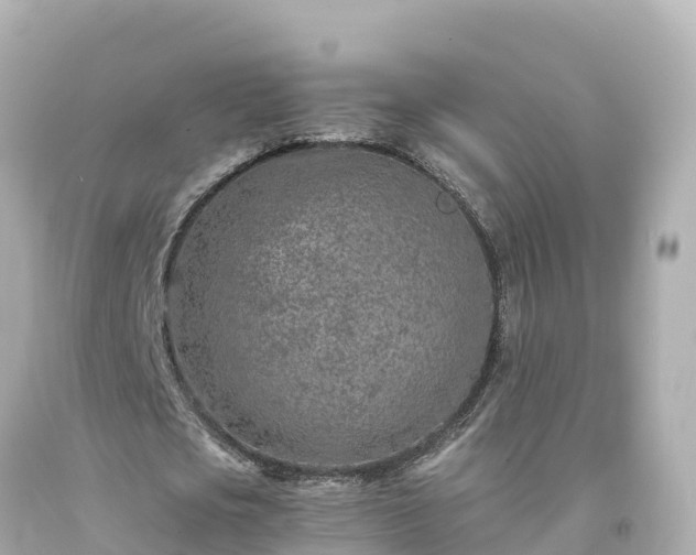 X0000094200721200711021051