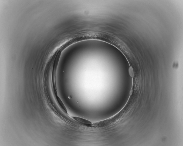 X0000094200722200711021051