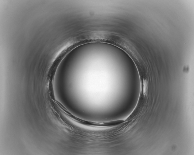 X0000094200723200711021051
