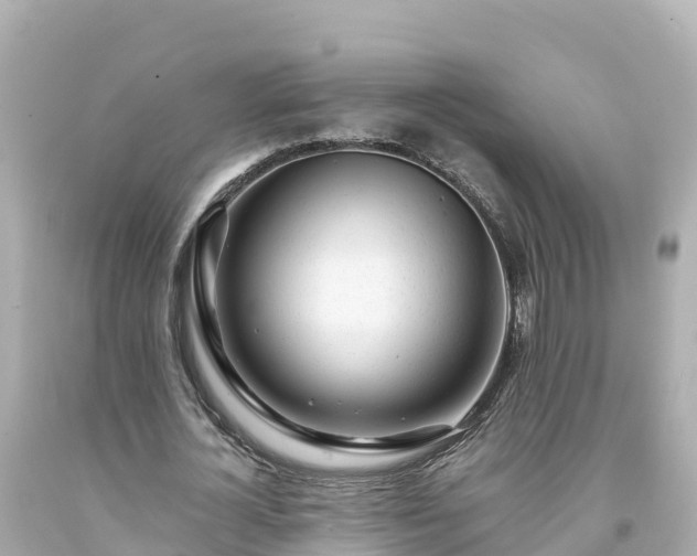 X0000094200724200711021051