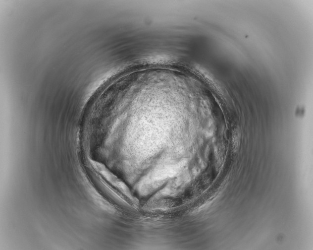 X0000094200725200711021051