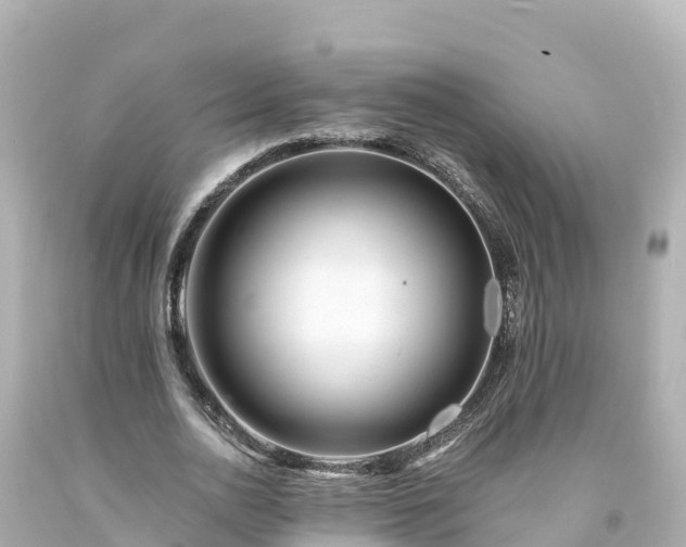 X0000094200726200711021051
