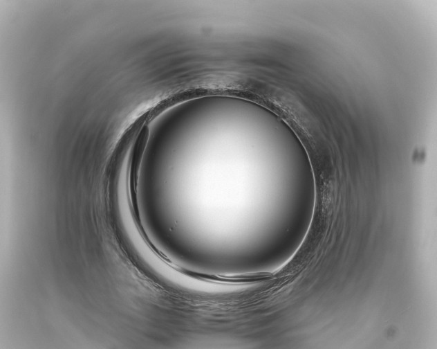 X0000094200727200711021051