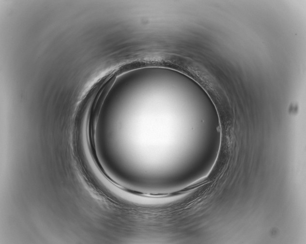 X0000094200728200711021051