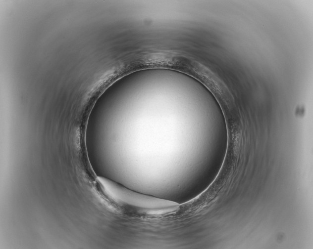 X0000094200729200711021051