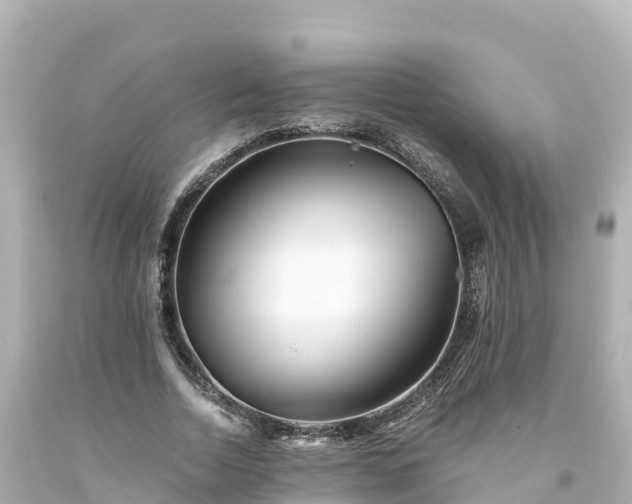 X0000094200730200711021051