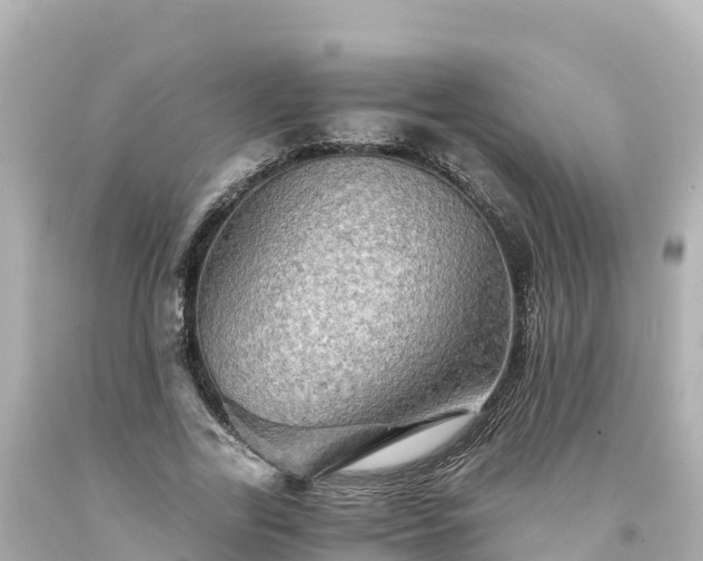 X0000094200731200711021051
