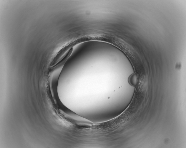 X0000094200732200711021051