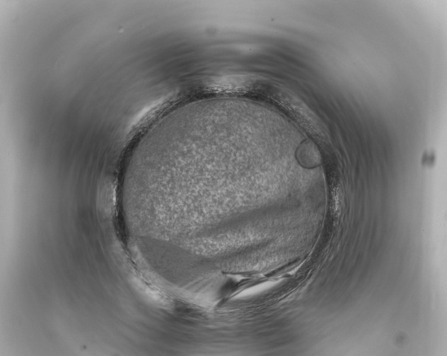 X0000094200733200711021051