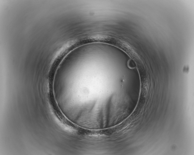 X0000094200734200711021051