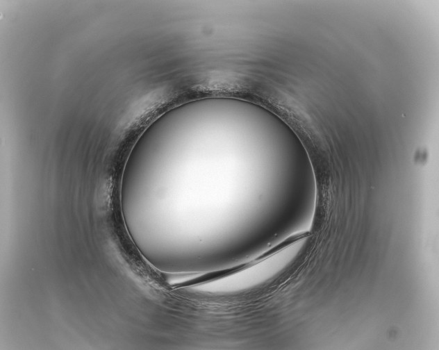 X0000094200735200711021051