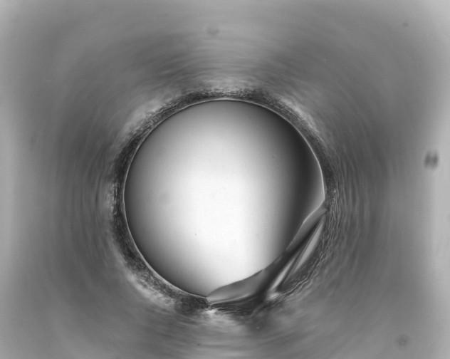 X0000094200736200711021051