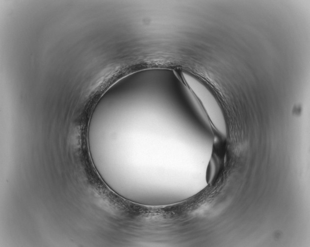 X0000094200738200711021051