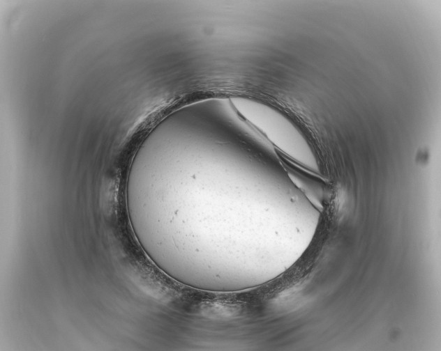X0000094200739200711021051