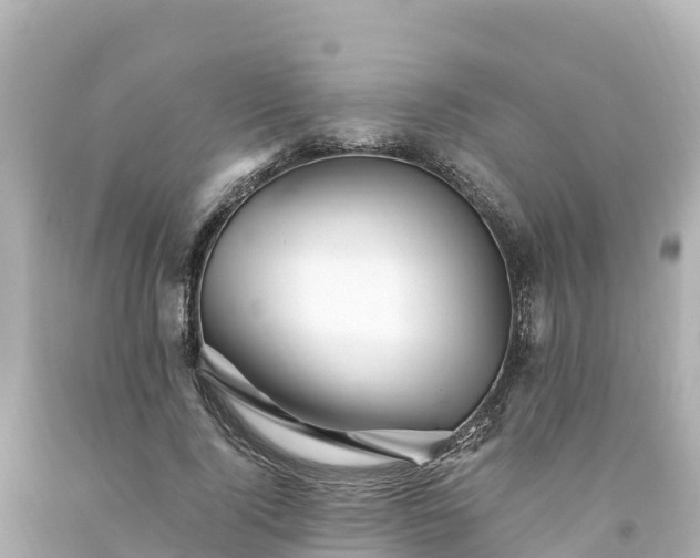 X0000094200740200711021051