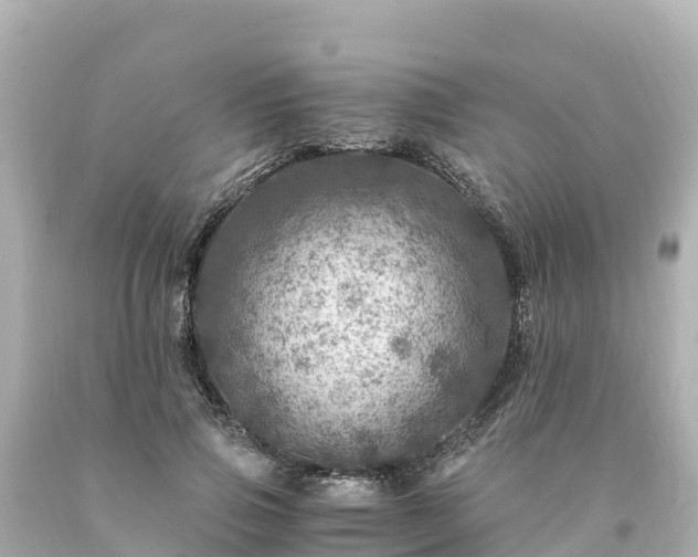 X0000094200741200711021051