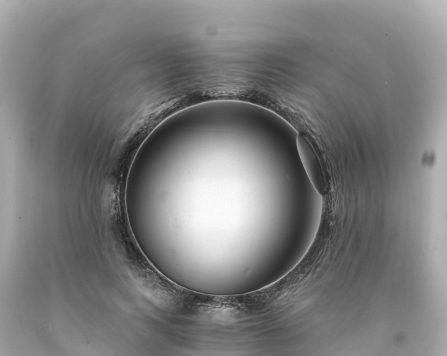 X0000094200743200711021051