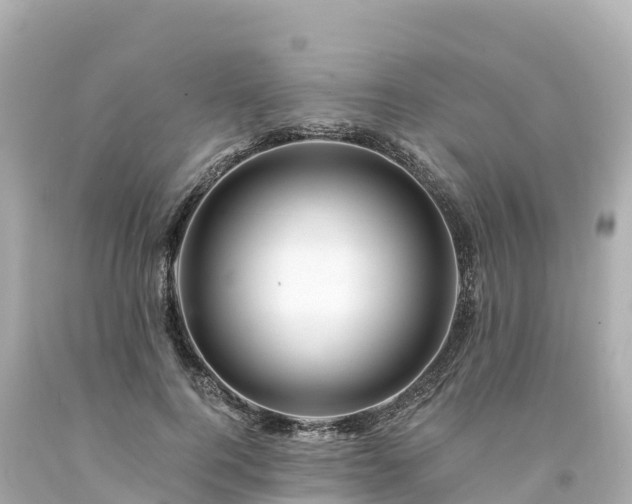 X0000094200744200711021051