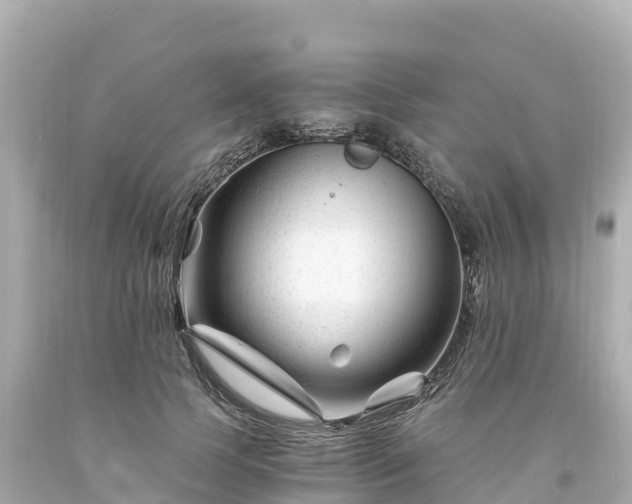 X0000094200745200711021051