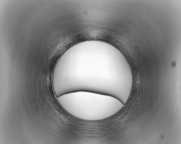 X0000094200746200711021051