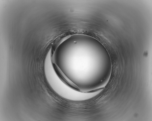 X0000094200747200711021051