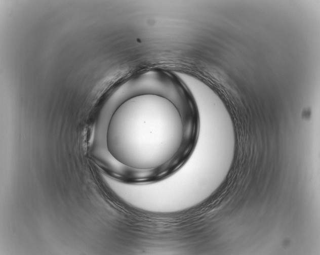 X0000094200748200711021051