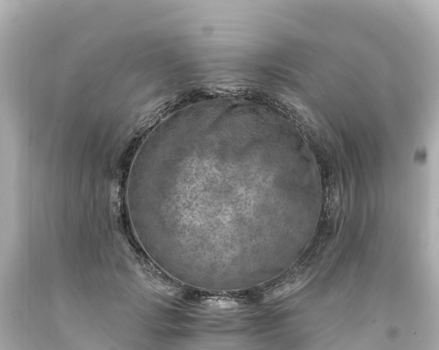 X0000094200749200711021051