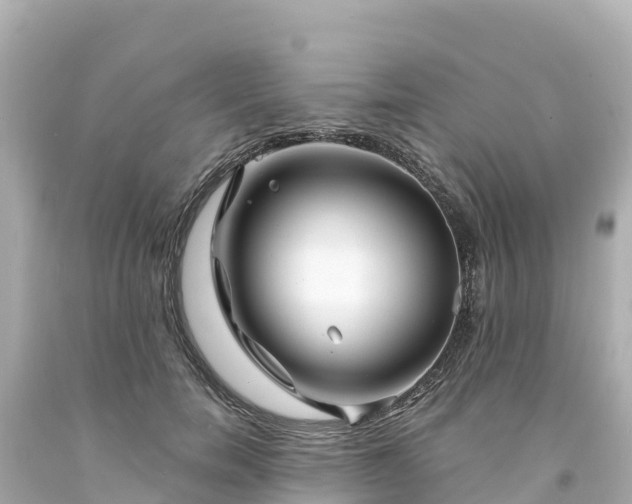 X0000094200750200711021051