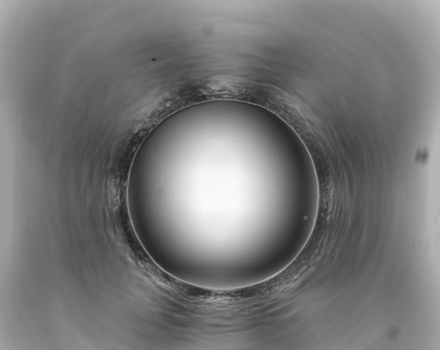 X0000094200751200711021051