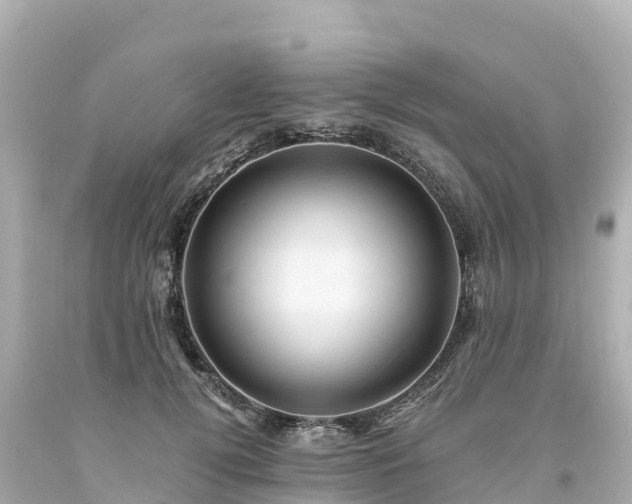 X0000094200752200711021051