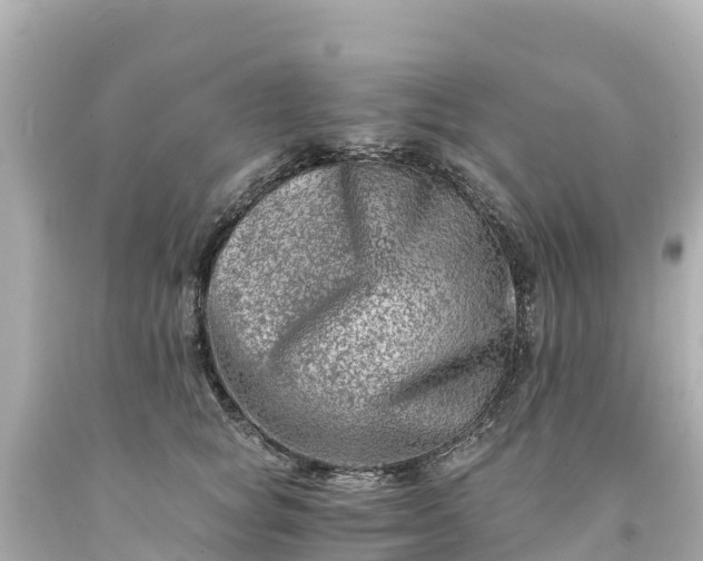 X0000094200757200711021051