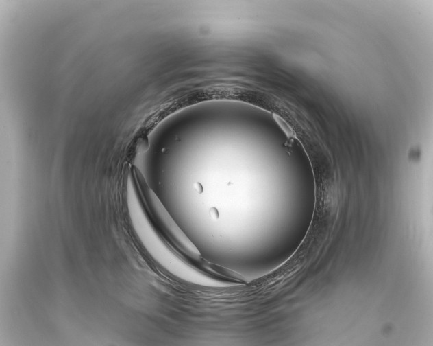 X0000094200759200711021051
