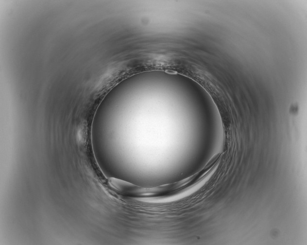 X0000094200760200711021051