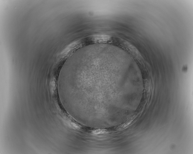 X0000094200761200711021051