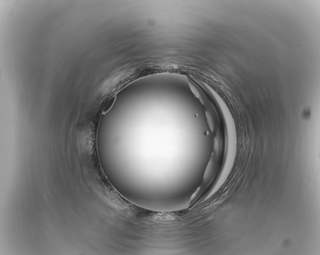 X0000094200762200711021051