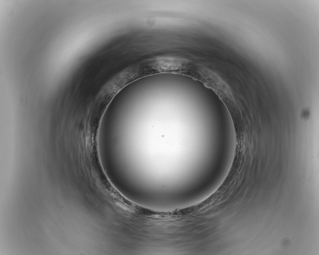 X0000094200763200711021051