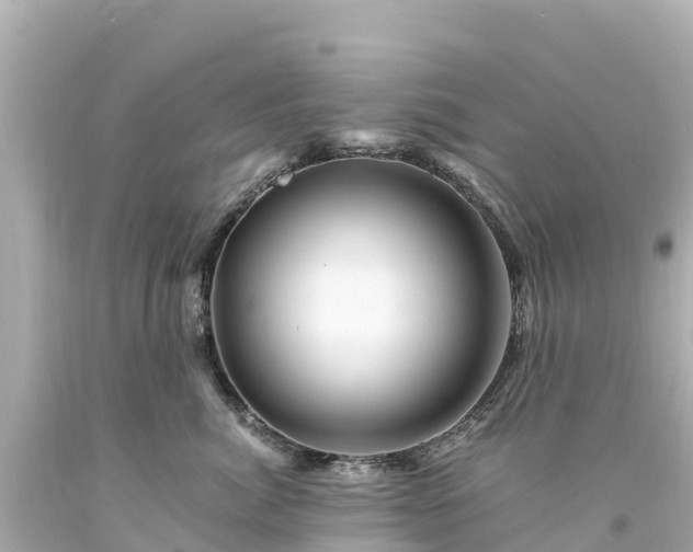 X0000094200764200711021051