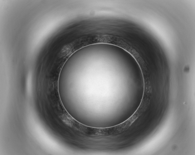 X0000094200765200711021051