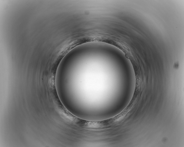 X0000094200766200711021051